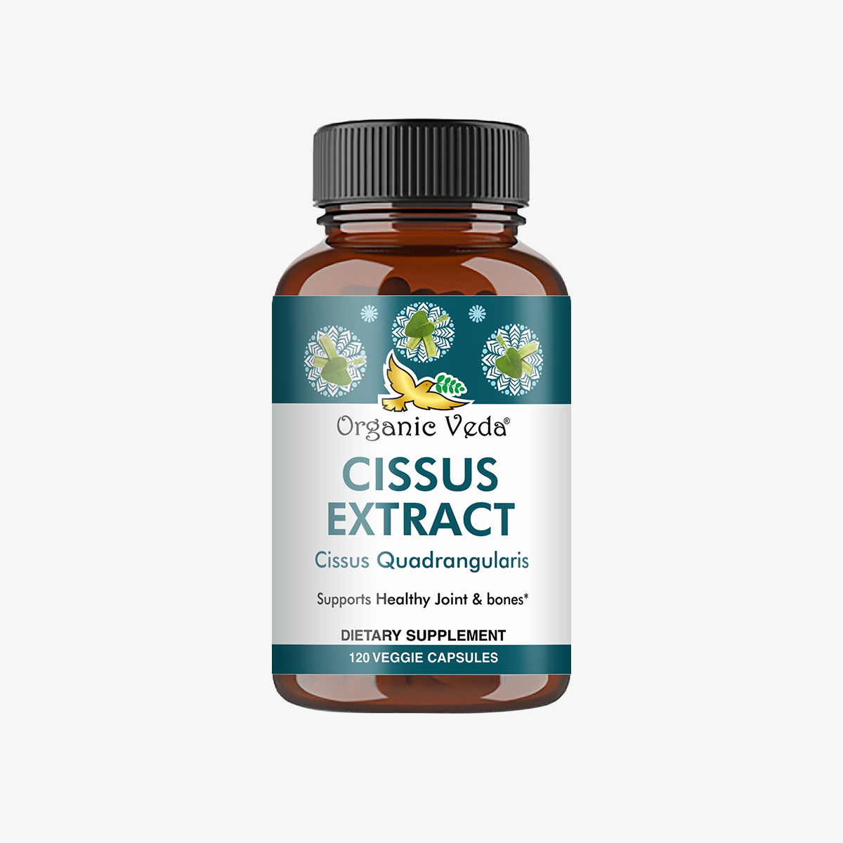 Cissus Extract Capsules