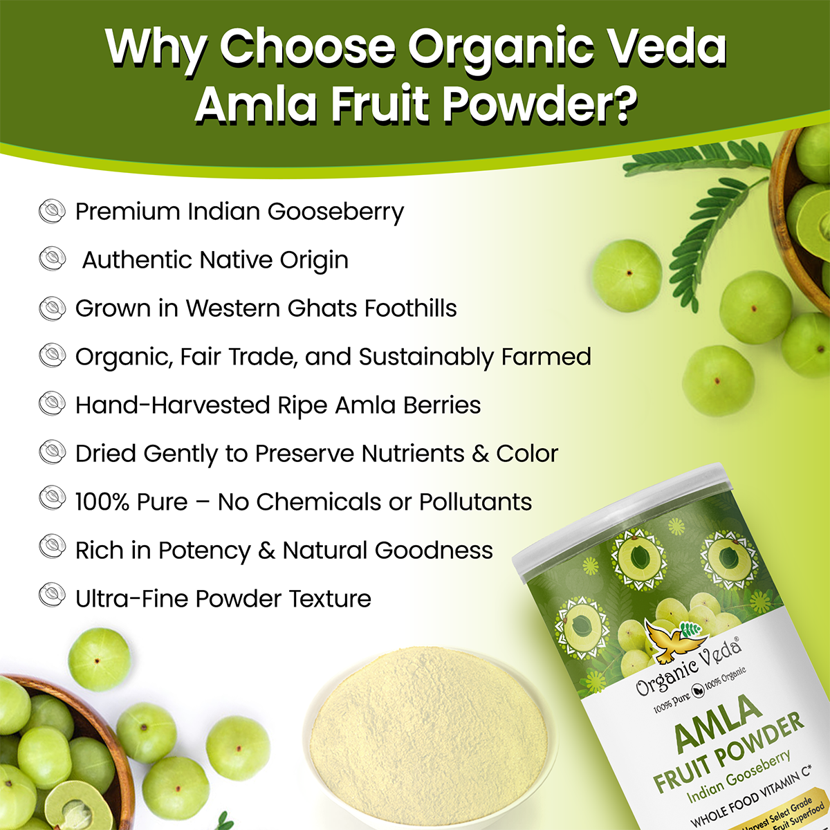 Amla Powder