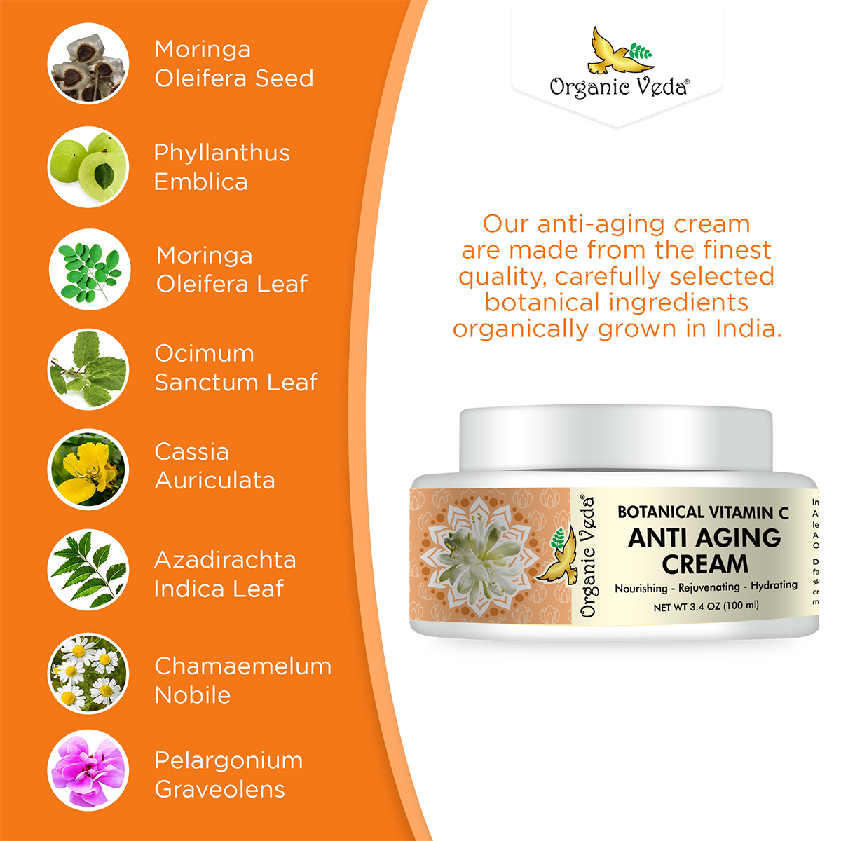 Anti Aging Botanical Vitamin C Cream