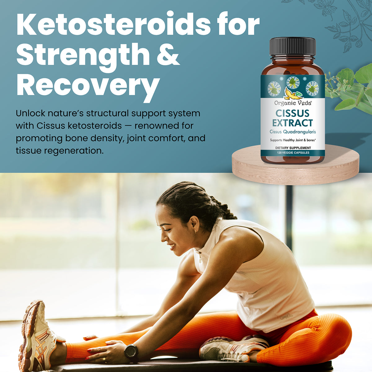 Cissus Extract Capsules