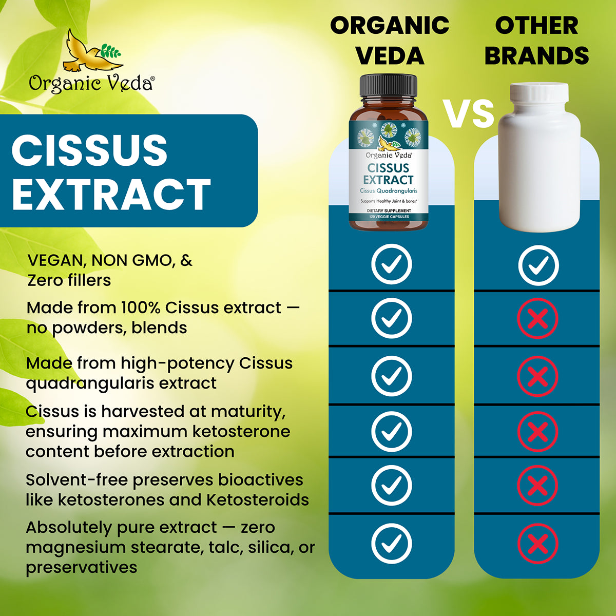 Cissus Extract Capsules