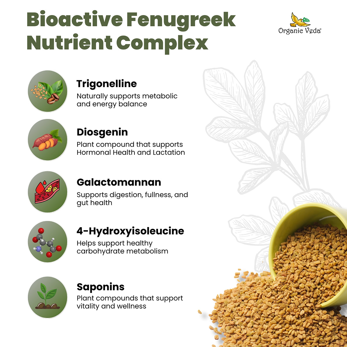 Fenugreek Capsules