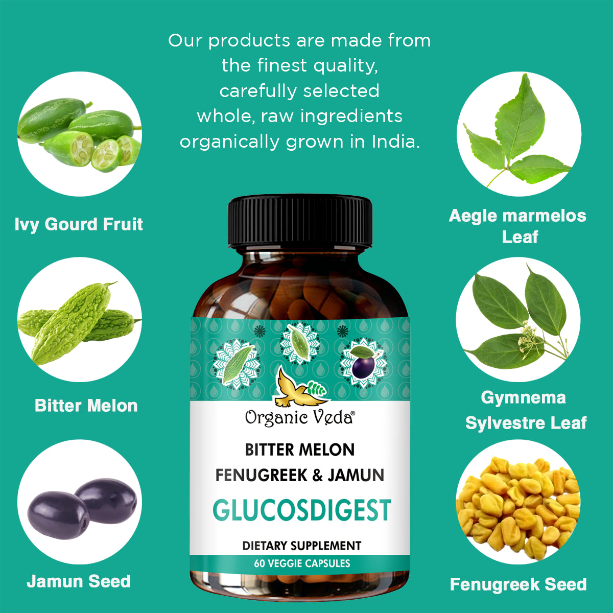 Glucosdigest Capsules