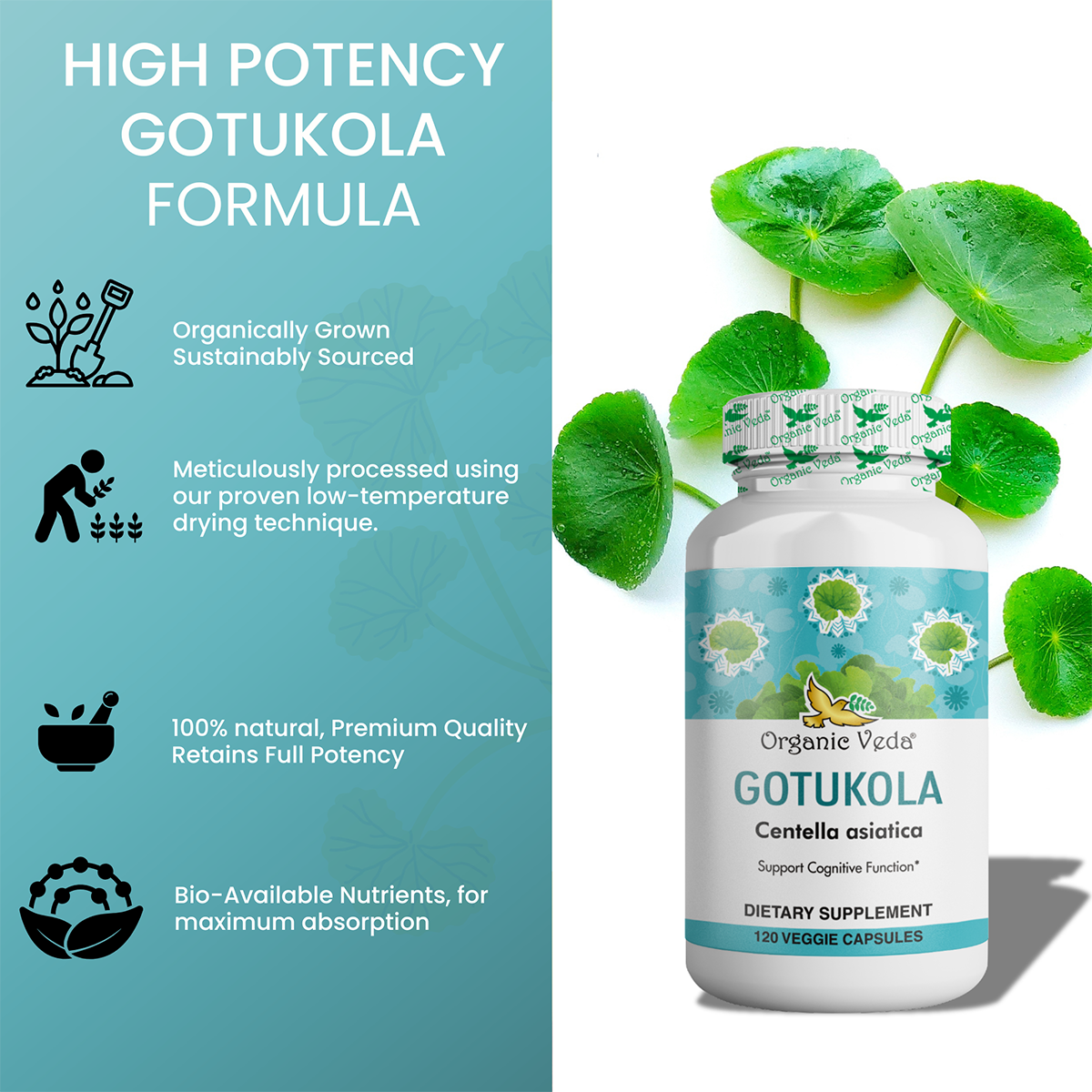 Gotukola Capsules