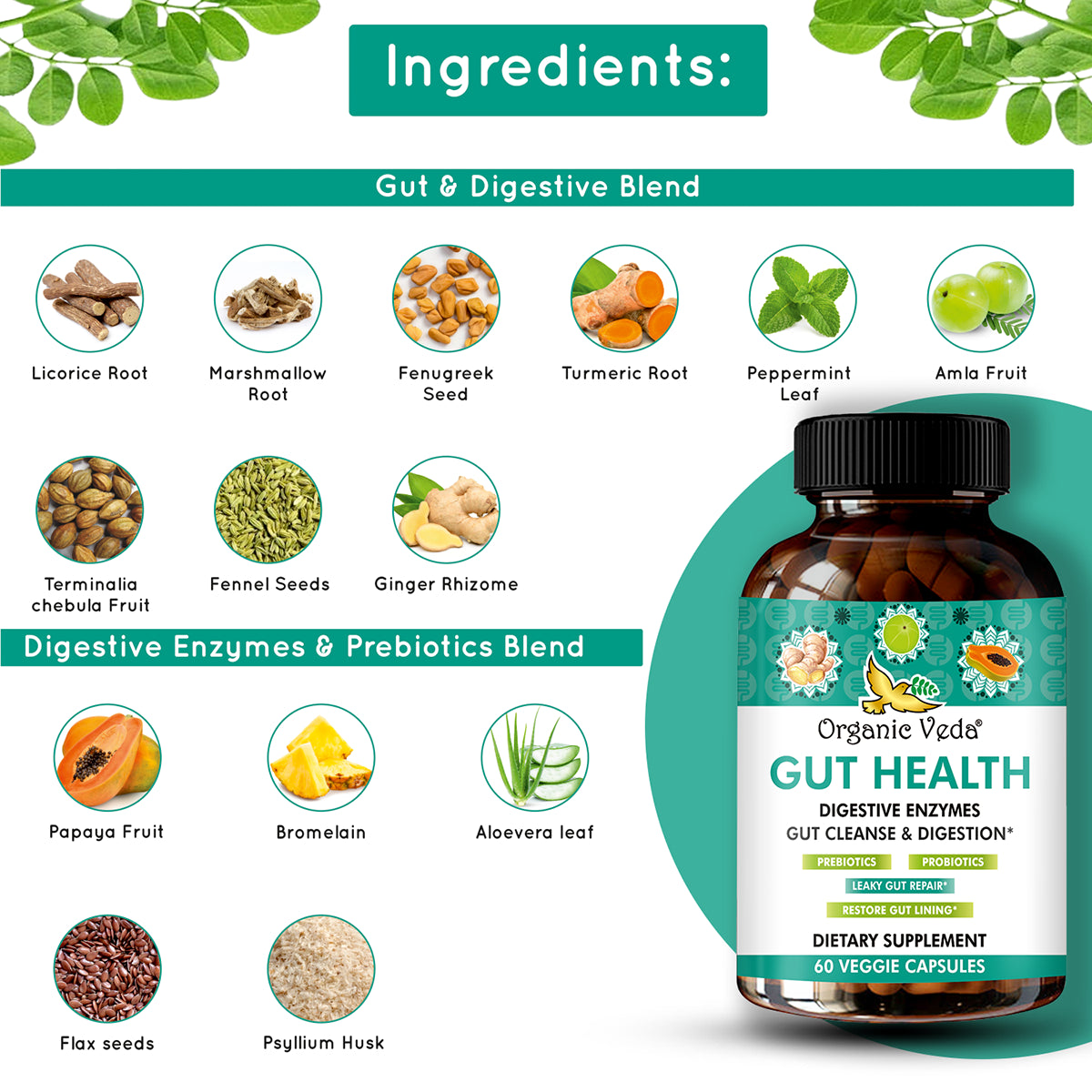 Gut Health Digestive Enzymes Capsules