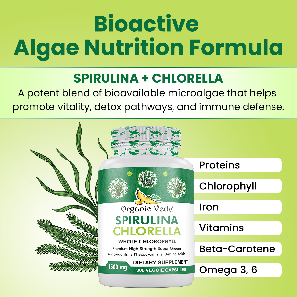 Spirulina Chlorella Capsules
