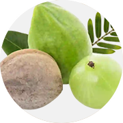 Triphala