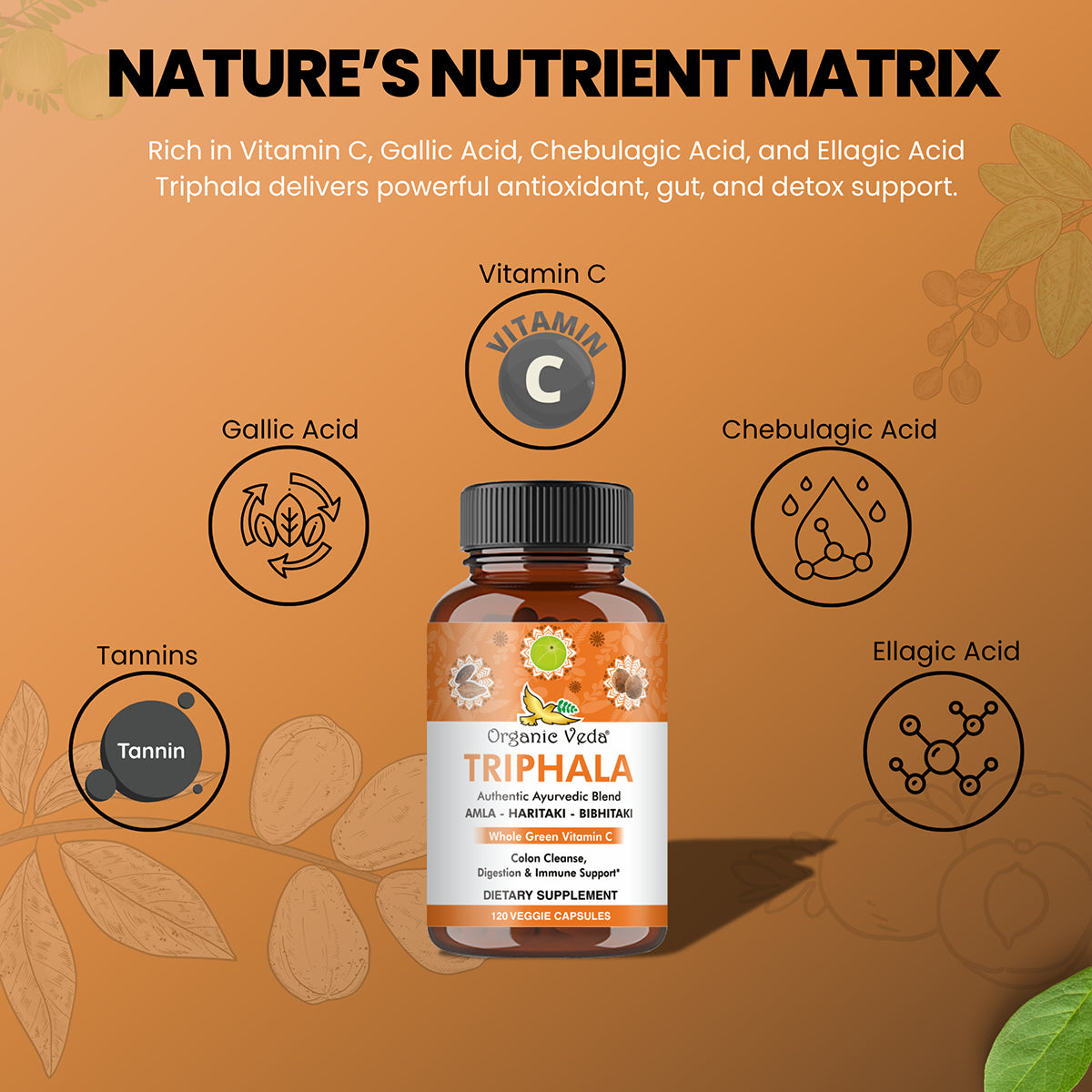 Triphala Capsules