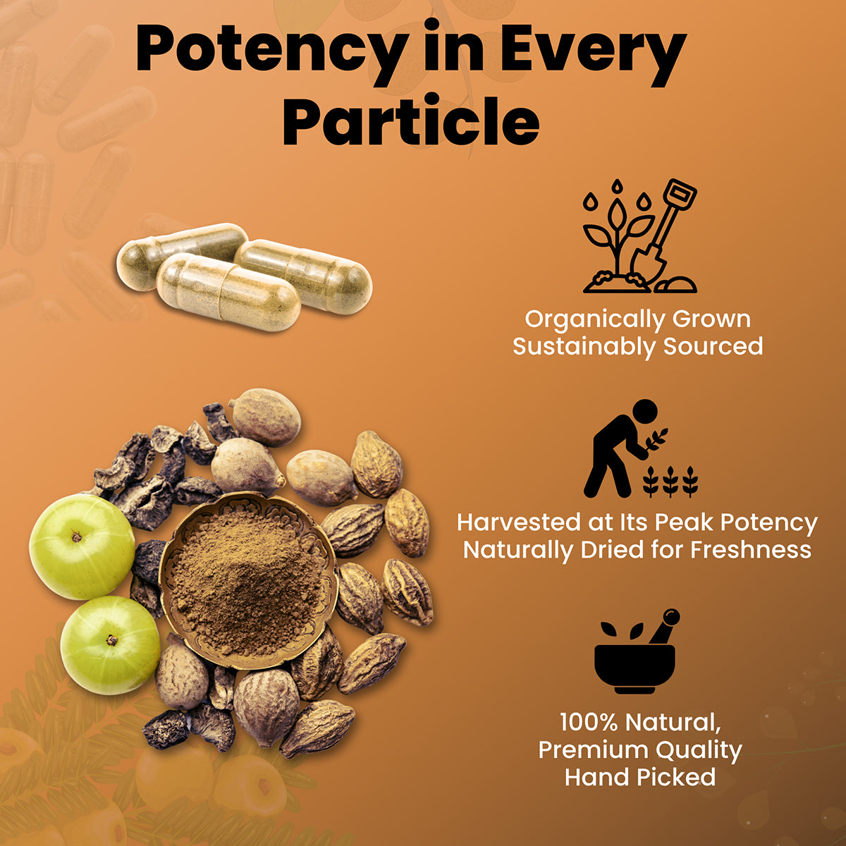Triphala Capsules