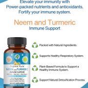 Neem and Turmeric immune Support