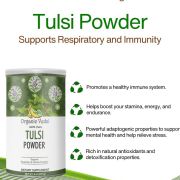 Tulsi Powder