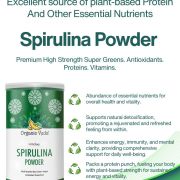 Spirulina Powder